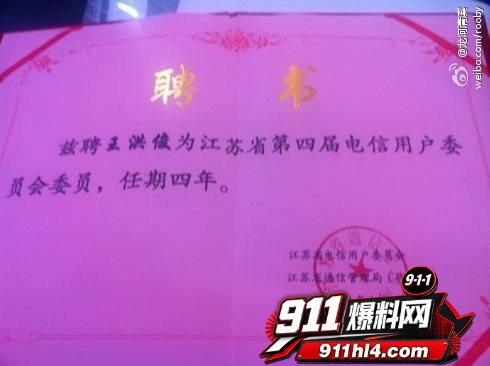 白鹭31