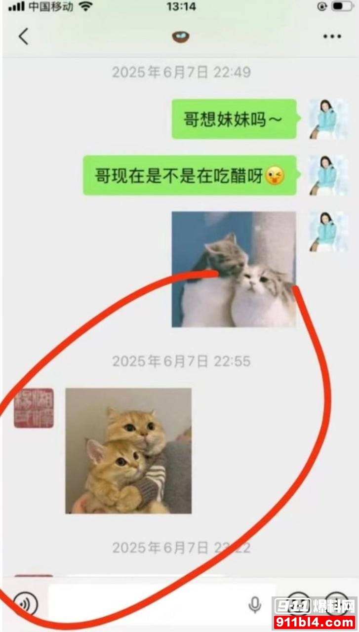 杨念群32 杨念群32