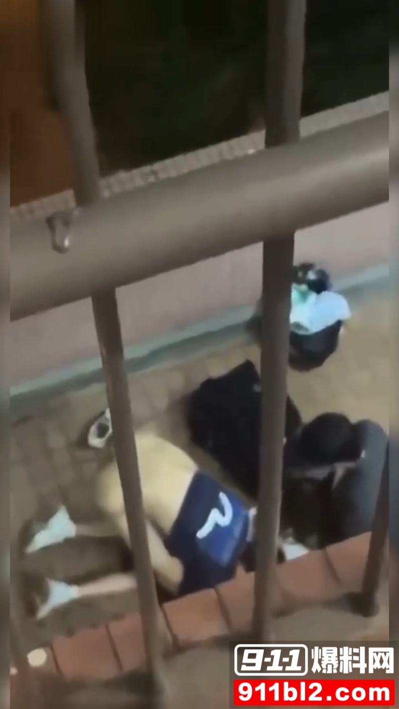 香港屋苑平台3P性爱派对被曝光 2 香港屋苑平台3P性爱派对被曝光 2