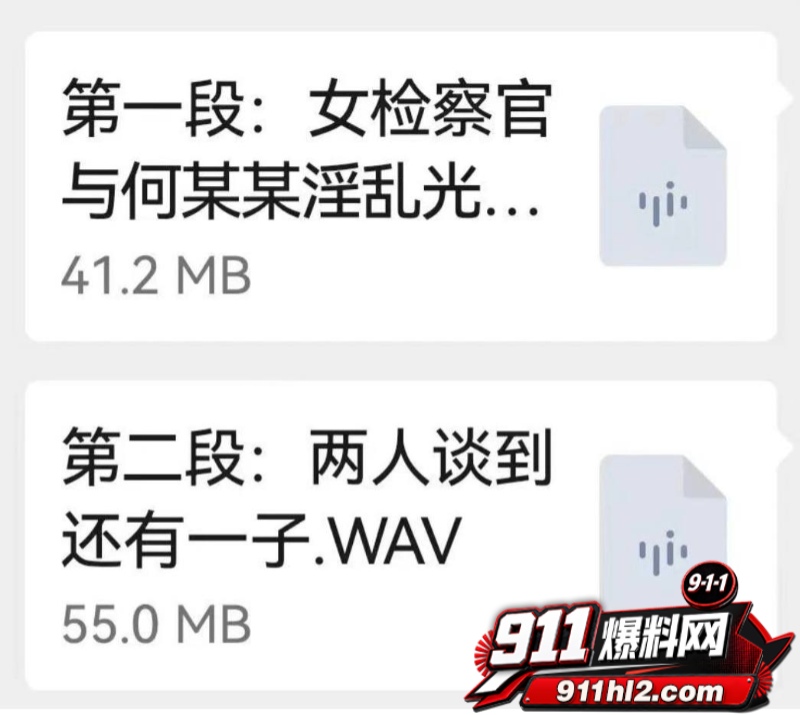 重庆检察院第五分院女检查官王维丹 53 重庆检察院第五分院女检查官王维丹 53
