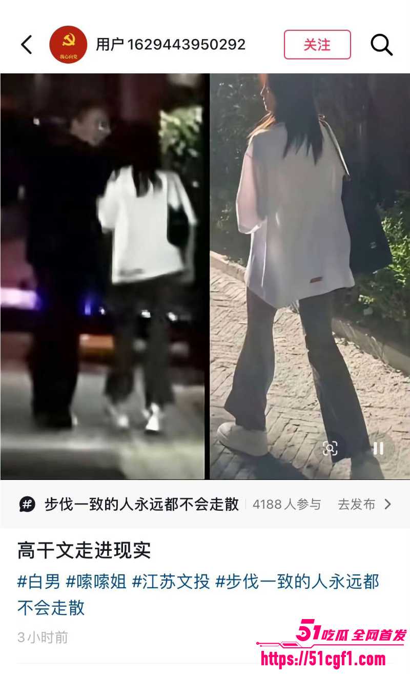顶流女星 白鹿 与江苏文投董事长王洪俊 12 顶流女星 白鹿 与江苏文投董事长王洪俊 12