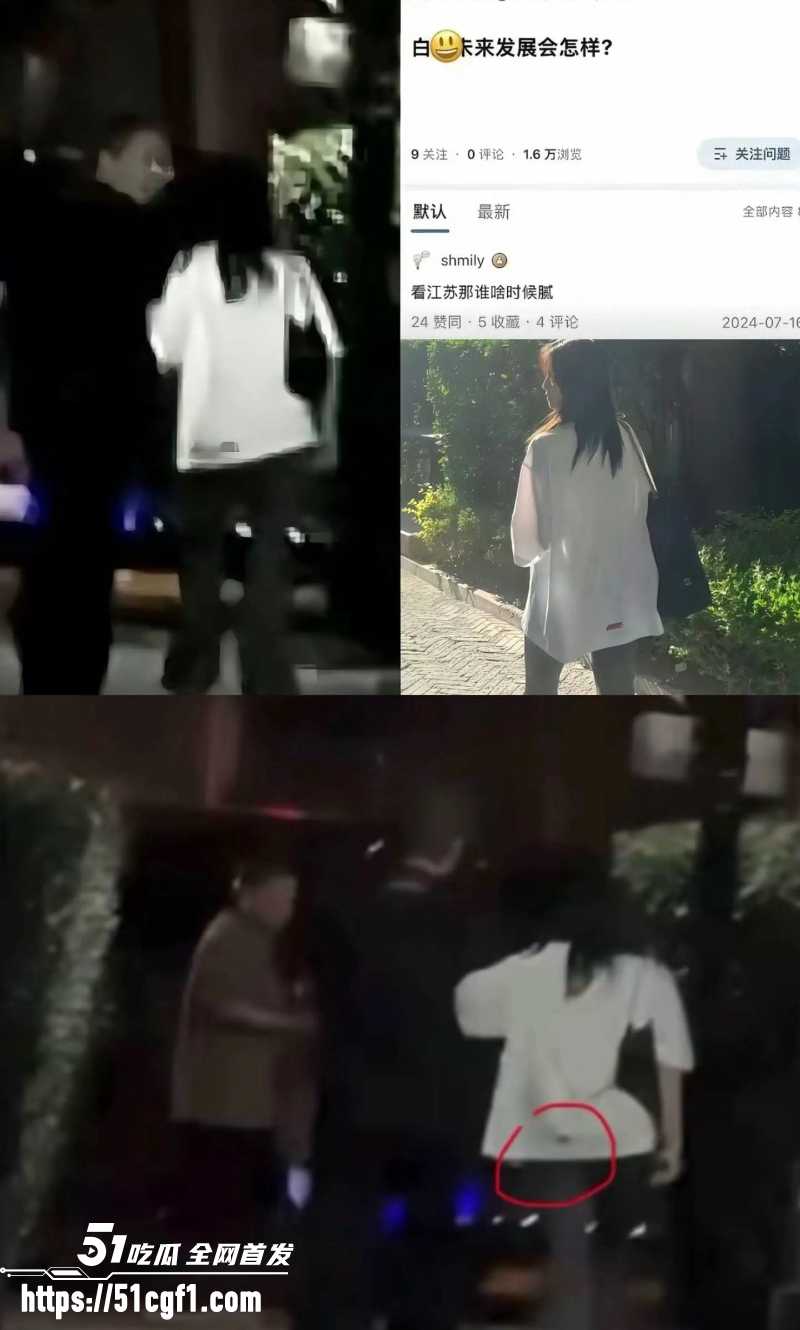 顶流女星 白鹿 与江苏文投董事长王洪俊 4 顶流女星 白鹿 与江苏文投董事长王洪俊 4
