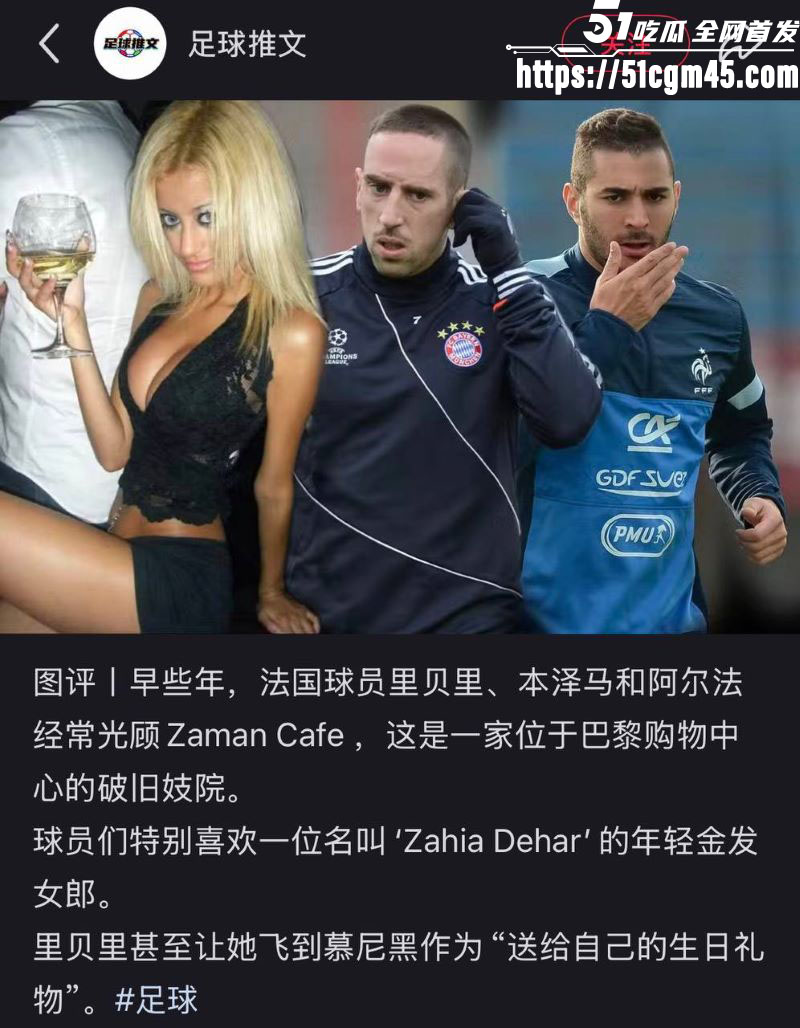 法国国家队世界杯前最大丑闻 1