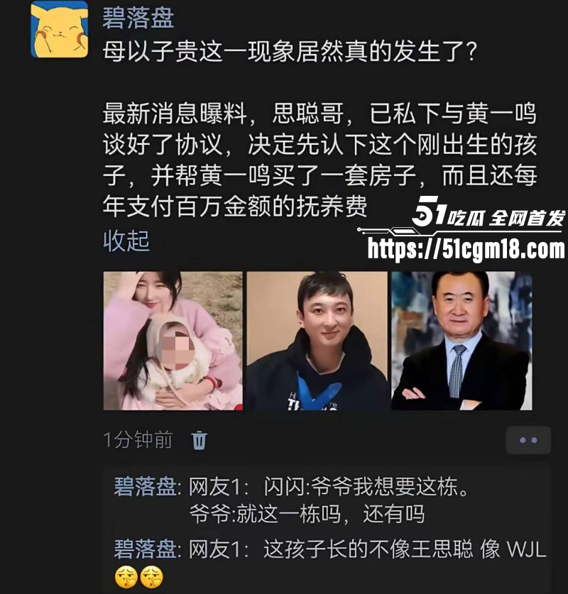 思聪前女友黄一鸣被限高消费016 思聪前女友黄一鸣被限高消费016