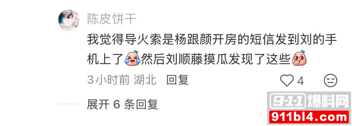 杨念群2 杨念群2