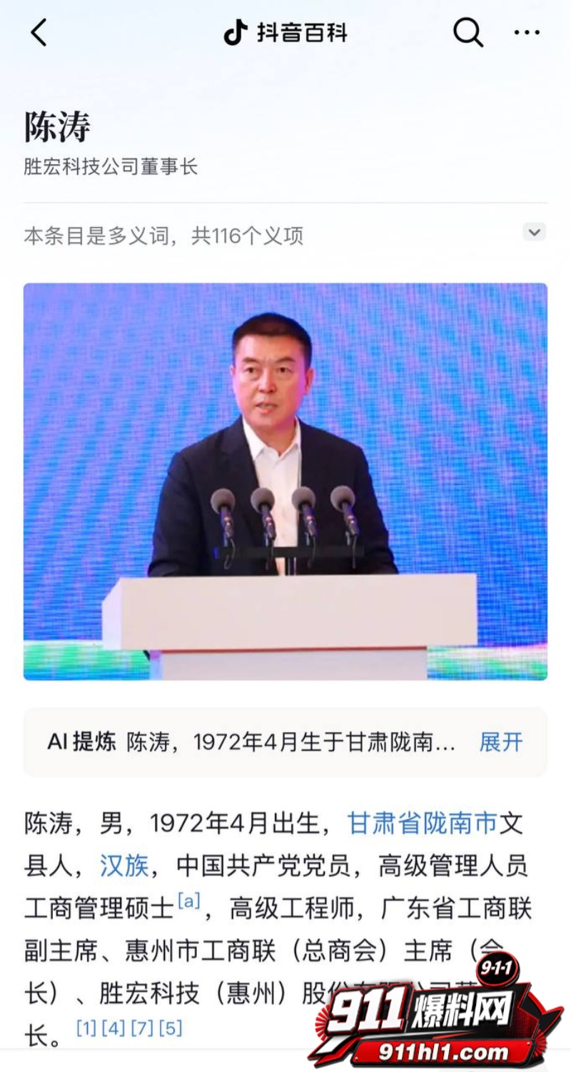 胜宏科技董事长陈涛 6