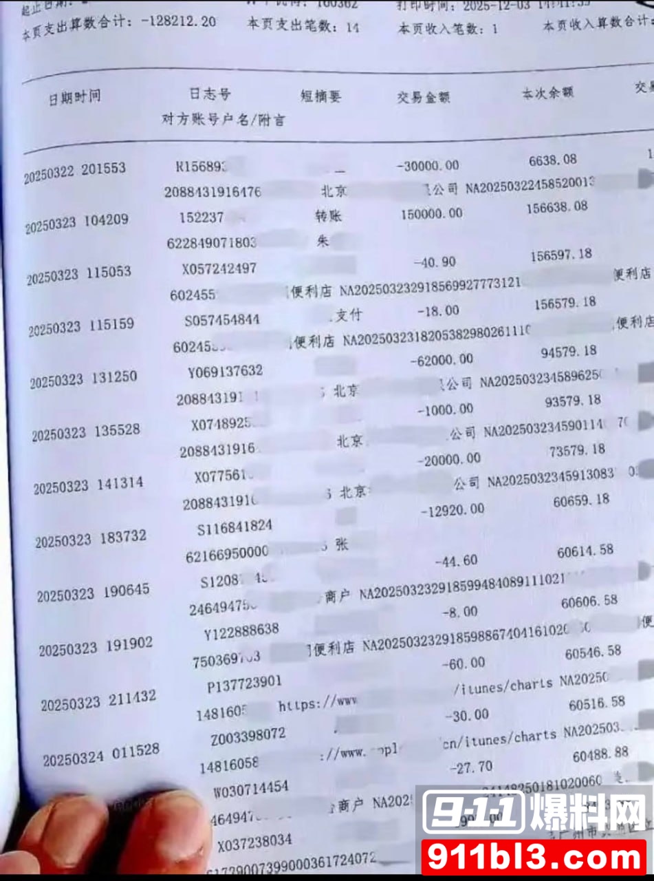 招财俊宝13