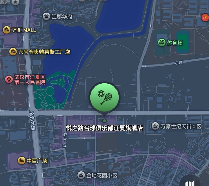 网传武汉江夏区悦之路台球厅涉黄60余女助教被带走