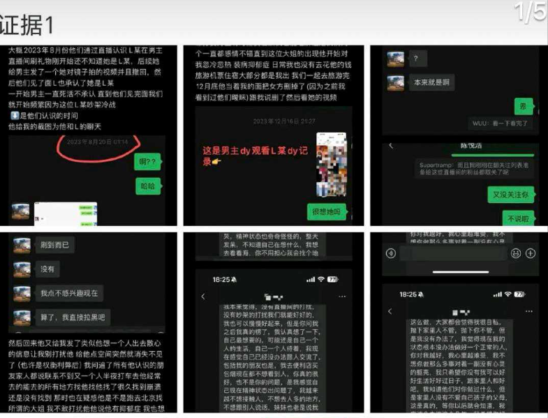 爱情公寓陈美嘉饰演者李金铭被曝知三当三