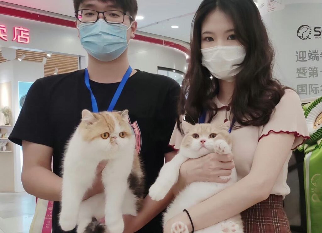 童锦程私生子事件女主角底细曝光露脸直播又曝内幕