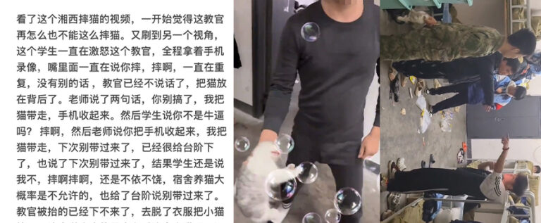 湖南湘西职业院校虐猫事件惹争议违规养宠故意激怒宿管