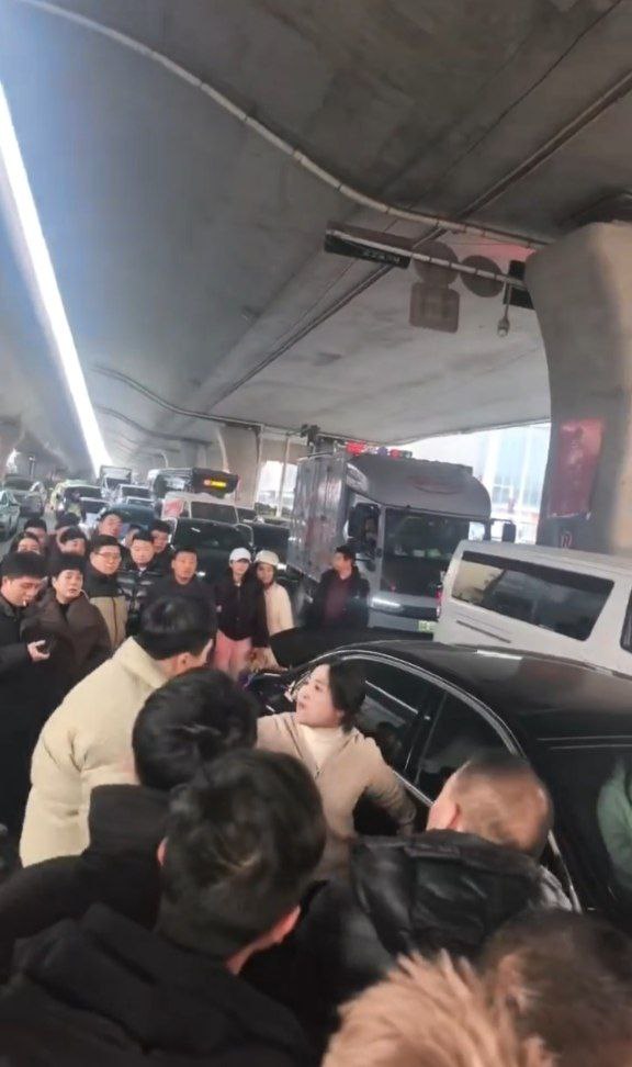 河南郑州奔驰哥被抓歼为了小三打原配被路人重拳出击