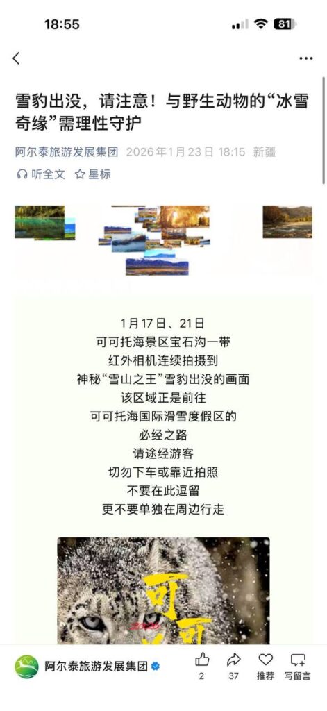 可可托海学院雪豹伤人事件xxn误把猛兽当萌宠