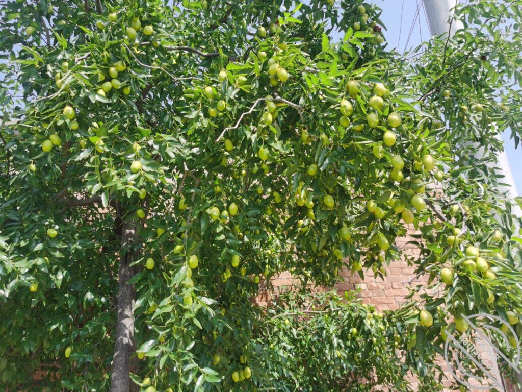 [长篇连载:吸引亲弟弟]幻想我亲弟弟能对我这个姐姐亲吻抚摸-来自海角社区的真实故事经历