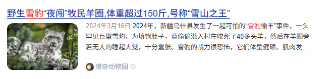 可可托海学院雪豹伤人事件xxn误把猛兽当萌宠