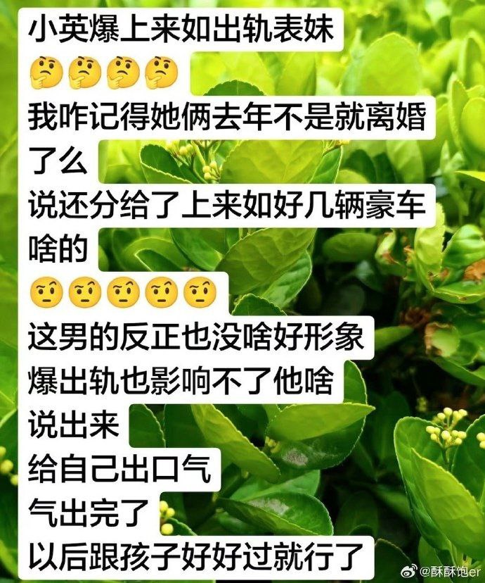 400万粉丝抖音云南网红小英一家错乱关系大瓜上拉如出轨亲表妹