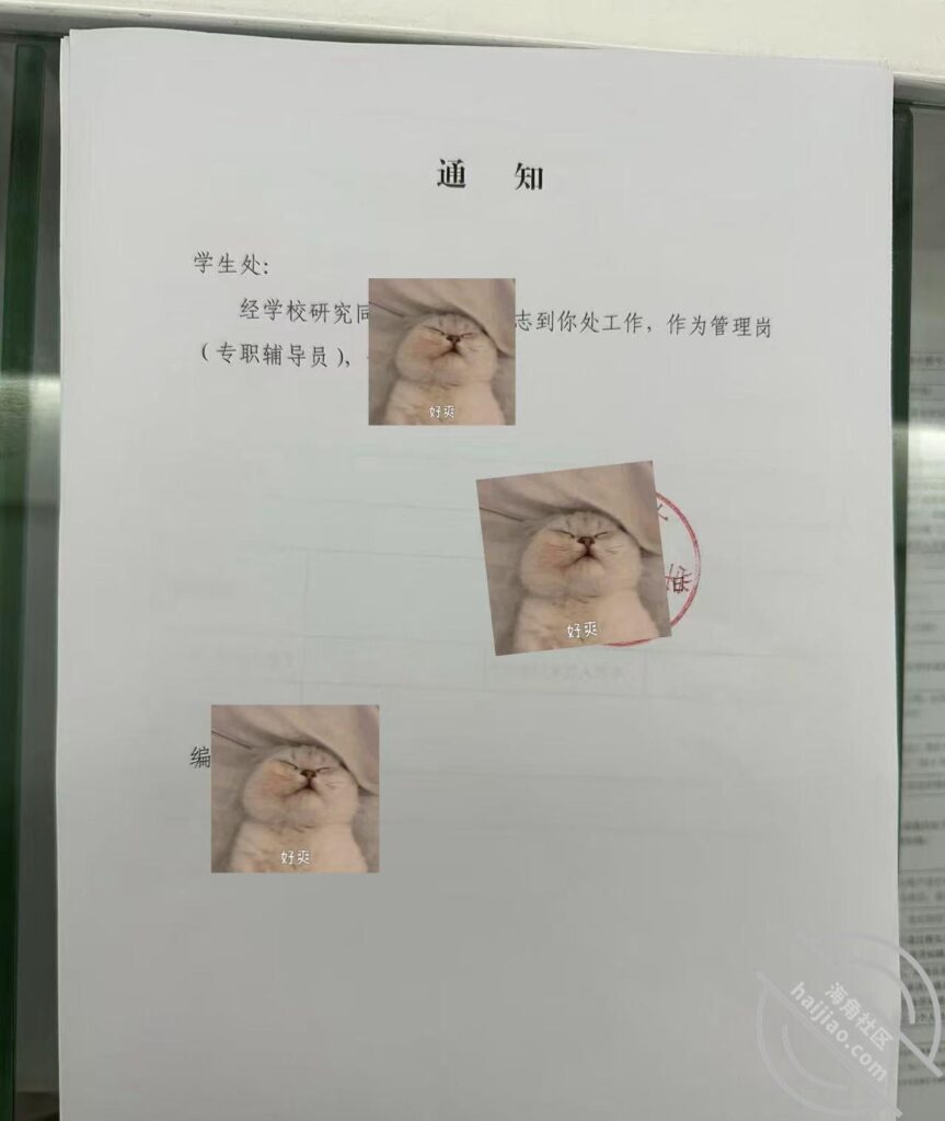 至170章节[长篇连载:表妹是我女友]表妹有着一颗典型少女内心，天真得像一张纯净的白纸-来自海角社区的真实故事经历