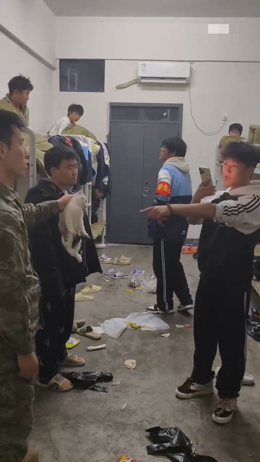 湖南湘西职业院校虐猫事件惹争议违规养宠故意激怒宿管
