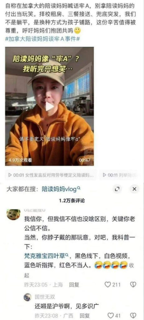 留学圈再度刷新认知三通一达暴露留学生捞女下线