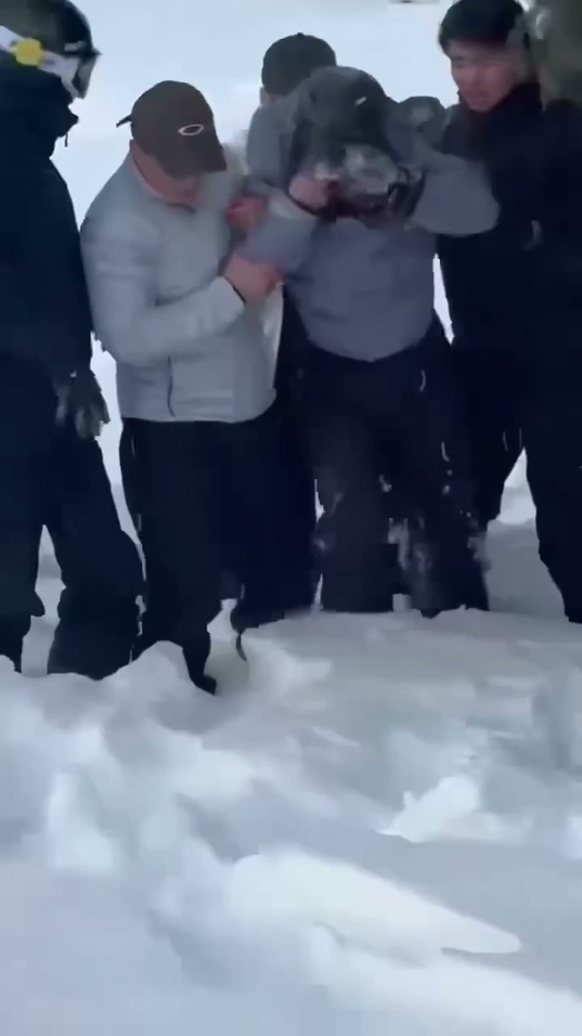 可可托海学院雪豹伤人事件xxn误把猛兽当萌宠
