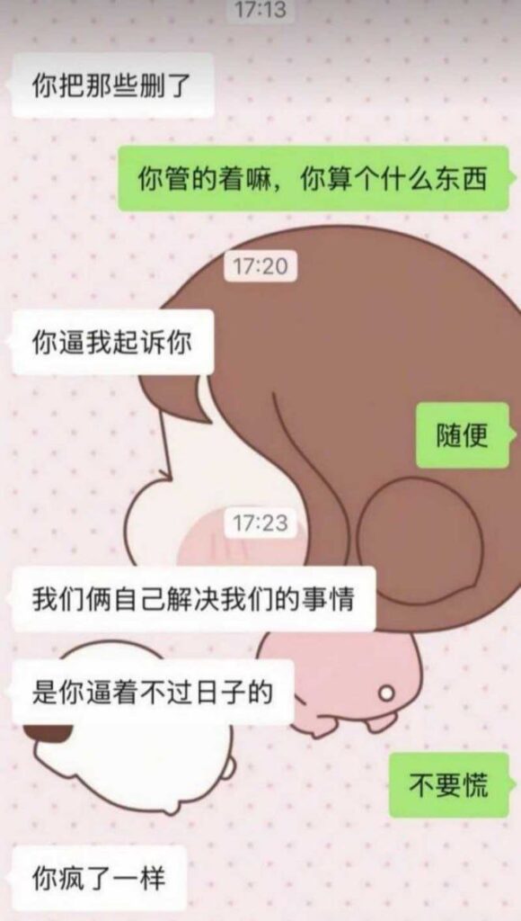 新疆哈密心知肚明姐制知三当三被原配曝光聊天记录