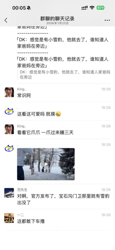 可可托海学院雪豹伤人事件xxn误把猛兽当萌宠