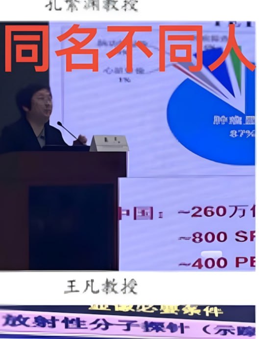 王婆说媒上演狸猫换太子哈佛女博士王凡被实锤学历人设造假