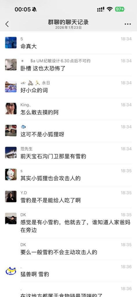可可托海学院雪豹伤人事件xxn误把猛兽当萌宠