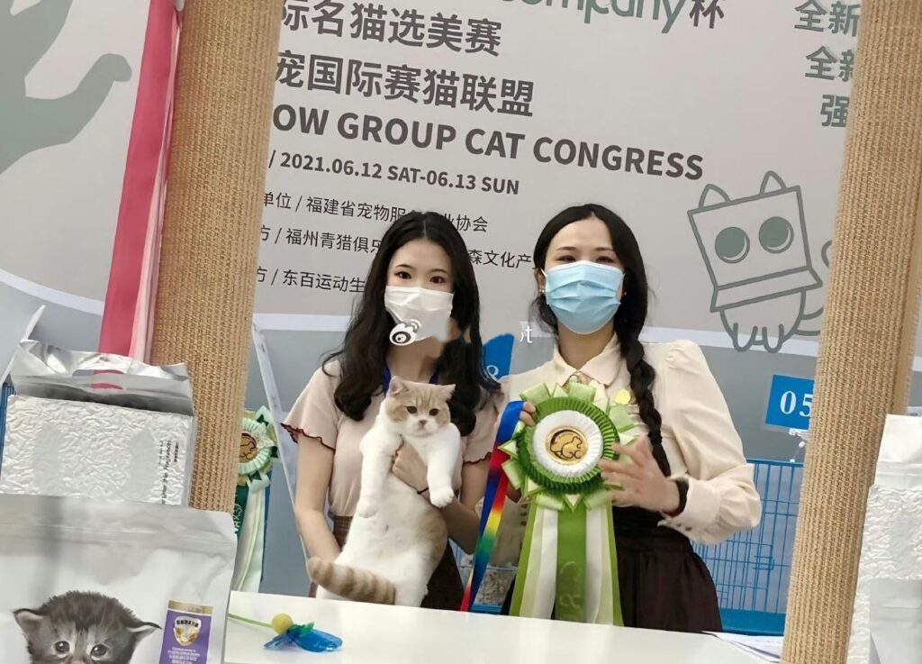 童锦程私生子事件女主角底细曝光露脸直播又曝内幕