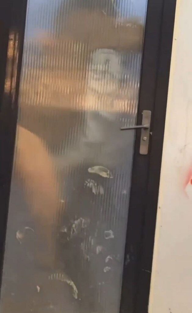 淄博烤肉店走红不是肉是厕间激情视频成网红笑柄全城围观尴尬爆笑