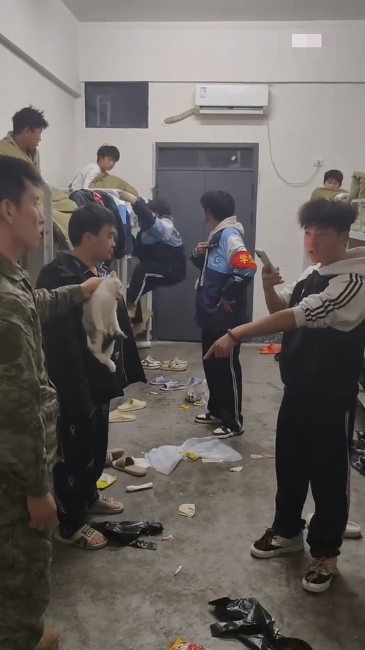 湖南湘西职业院校虐猫事件惹争议违规养宠故意激怒宿管