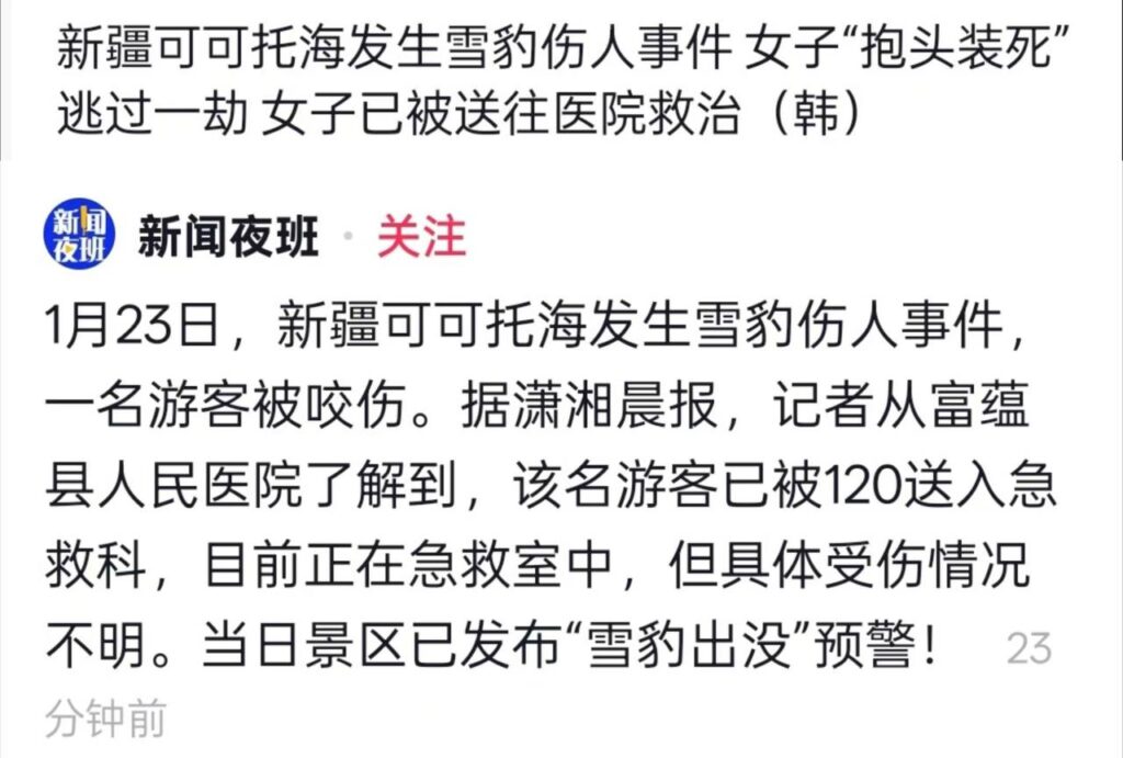 可可托海学院雪豹伤人事件xxn误把猛兽当萌宠